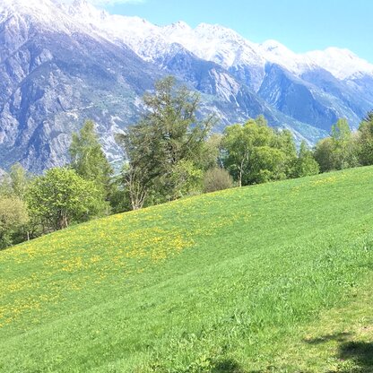 20200503_105722260_iOS